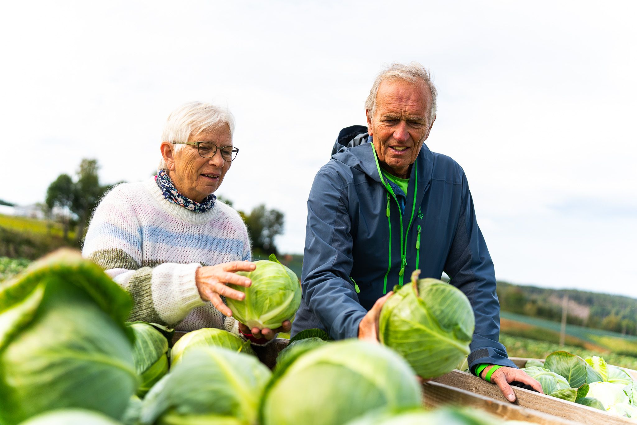 two people holding up cabbage