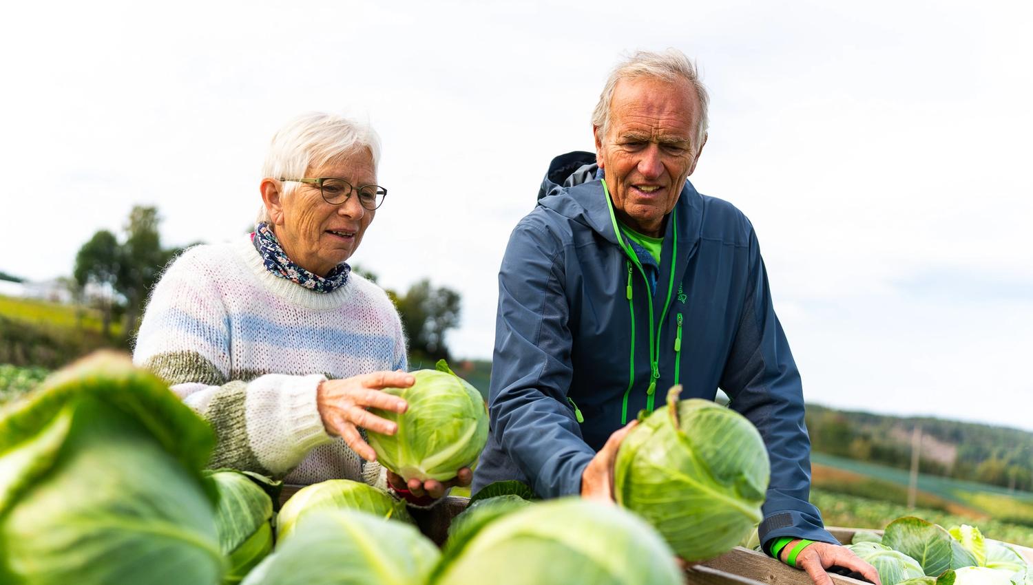 two people holding up cabbage