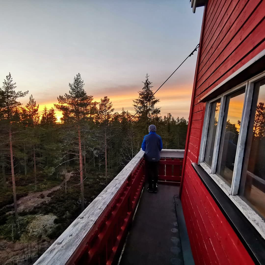 view from the tower
