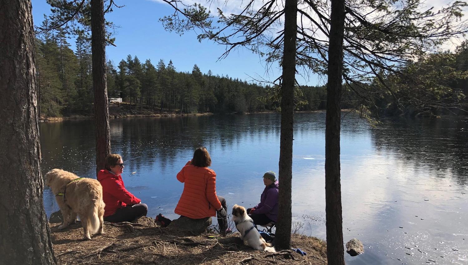 People camping by water