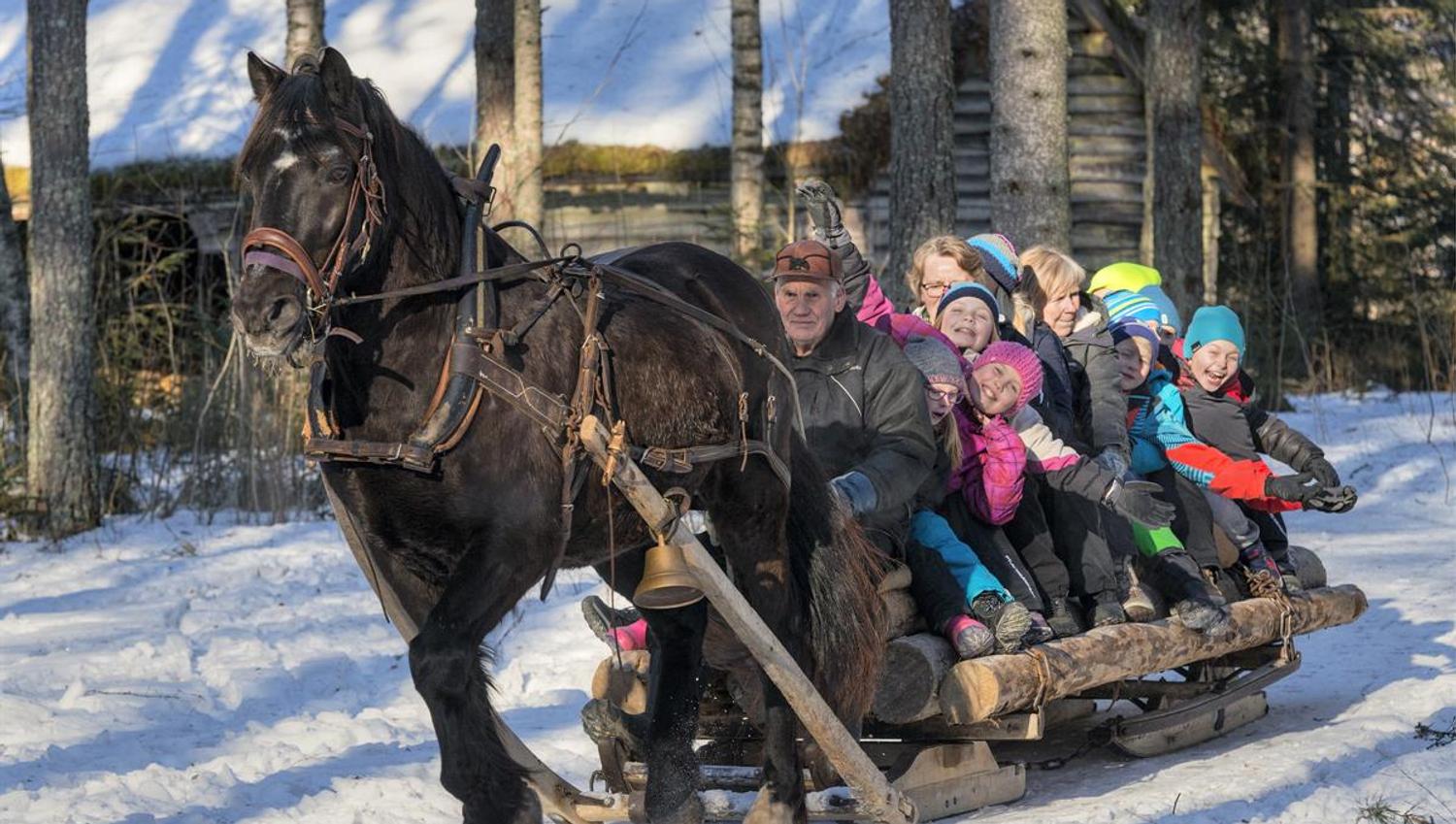 Horse and sleigh at Anno Norwegian Forest Museum