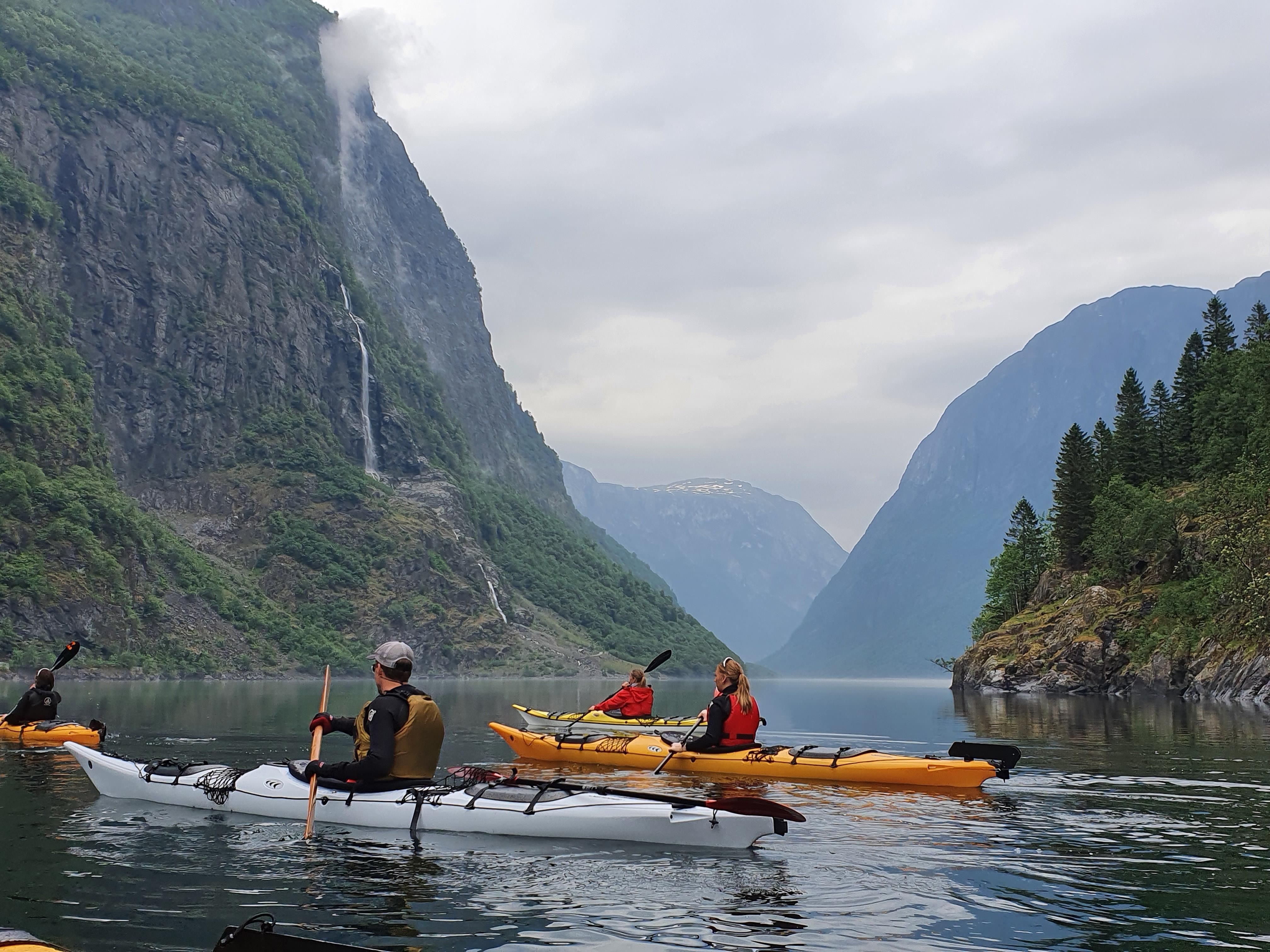 Course in sea paddling with kayak