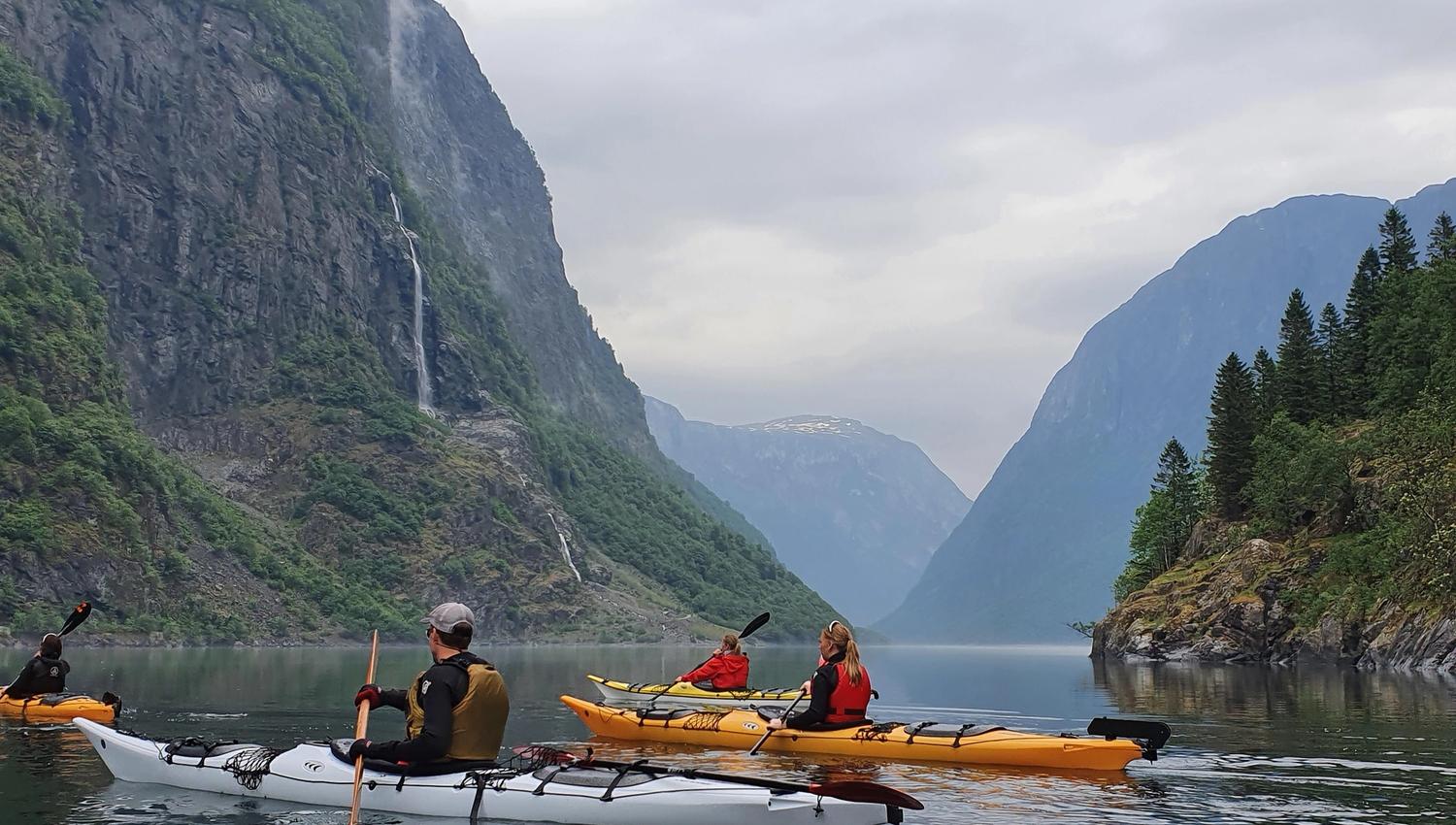 Course in sea paddling with kayak