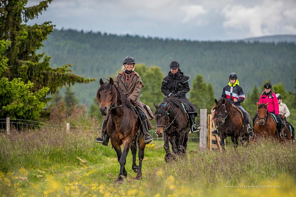 Group enjoying a horse ride in nature | Venabu Fjellhotell
