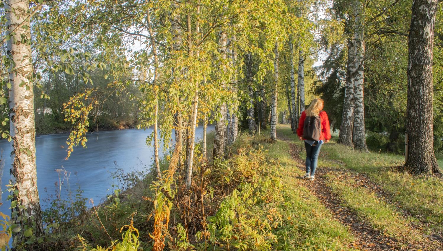 ilsengstiene28