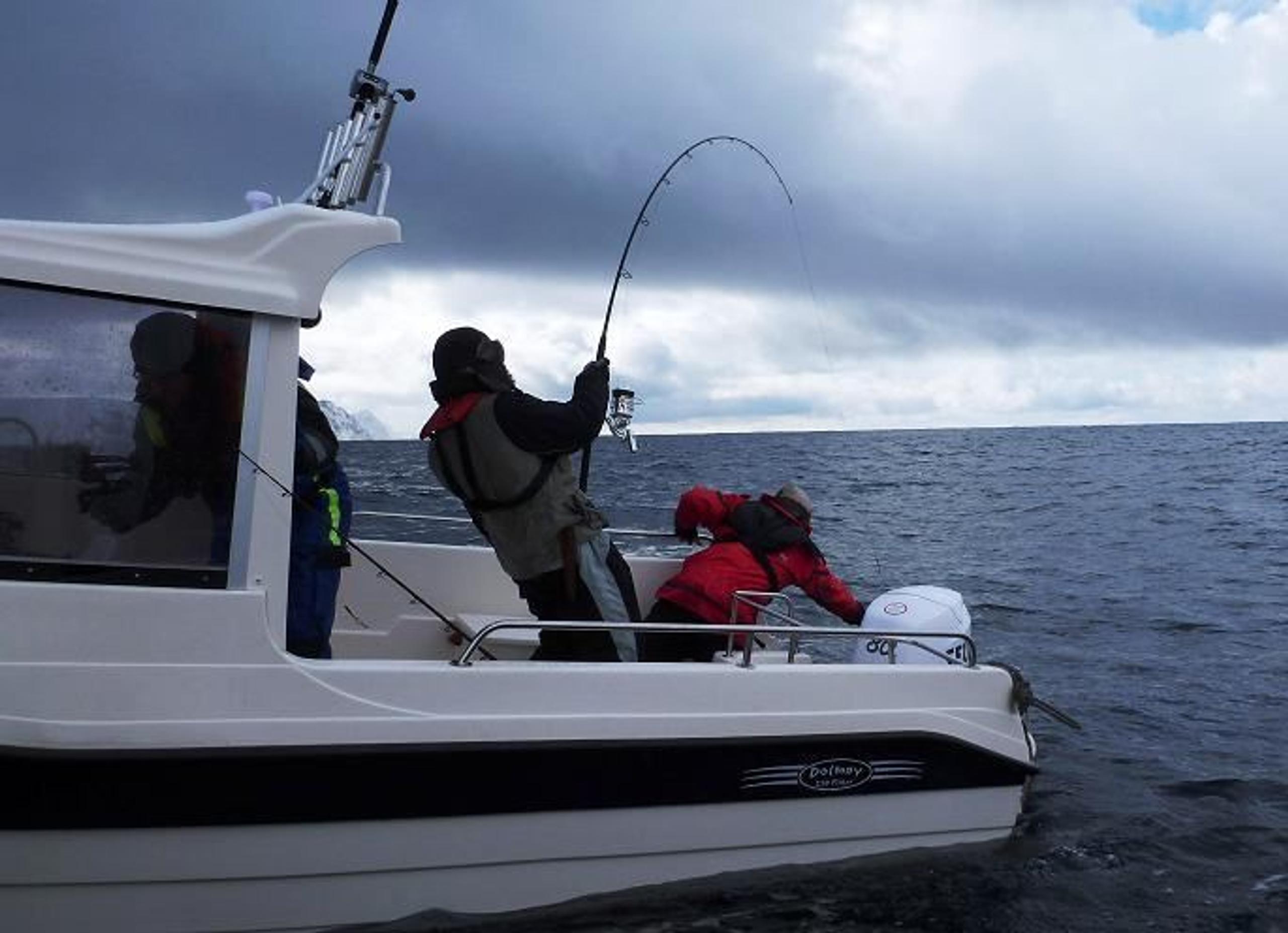Speed Boat Safari - Nordic Safari