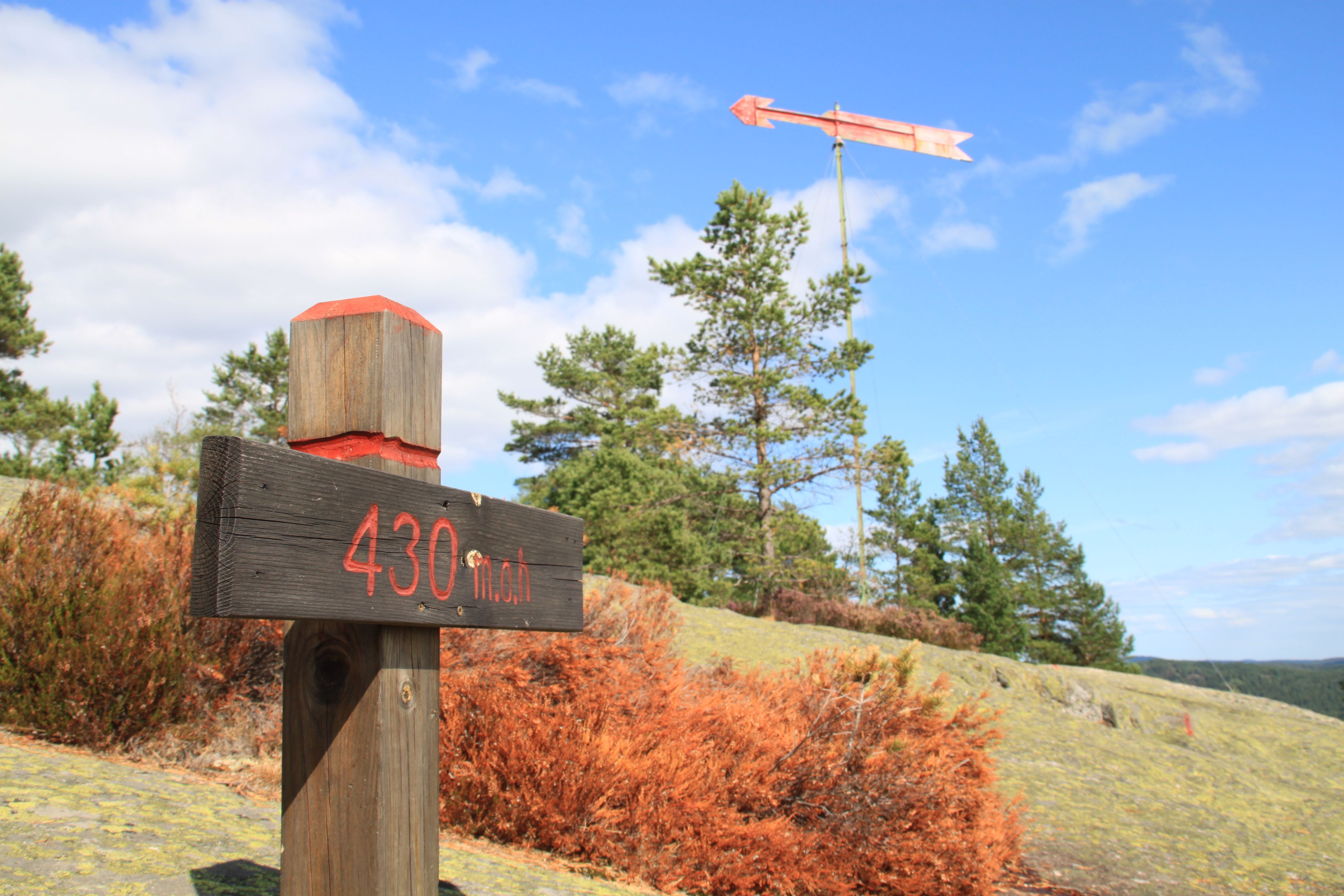 Visit Wilderness via ferrata topp