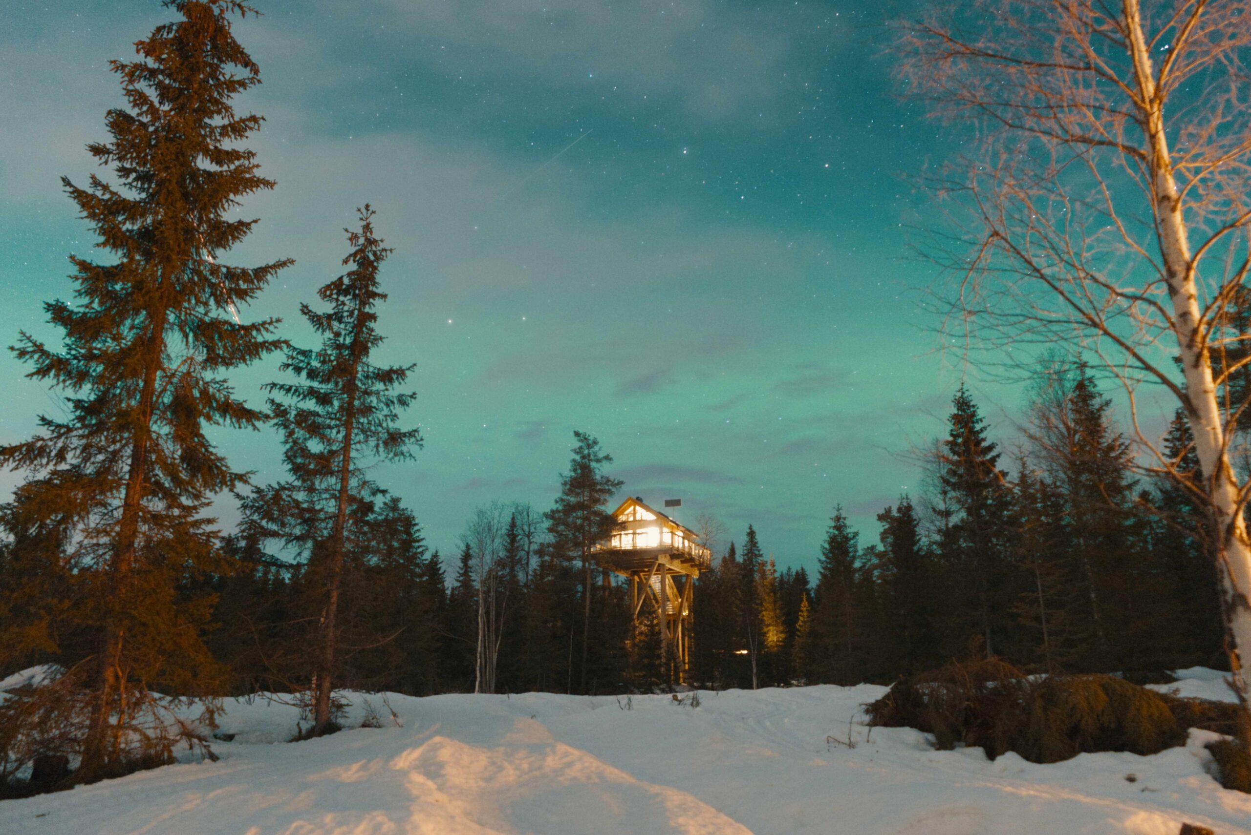 Faråsen Tree top farm
