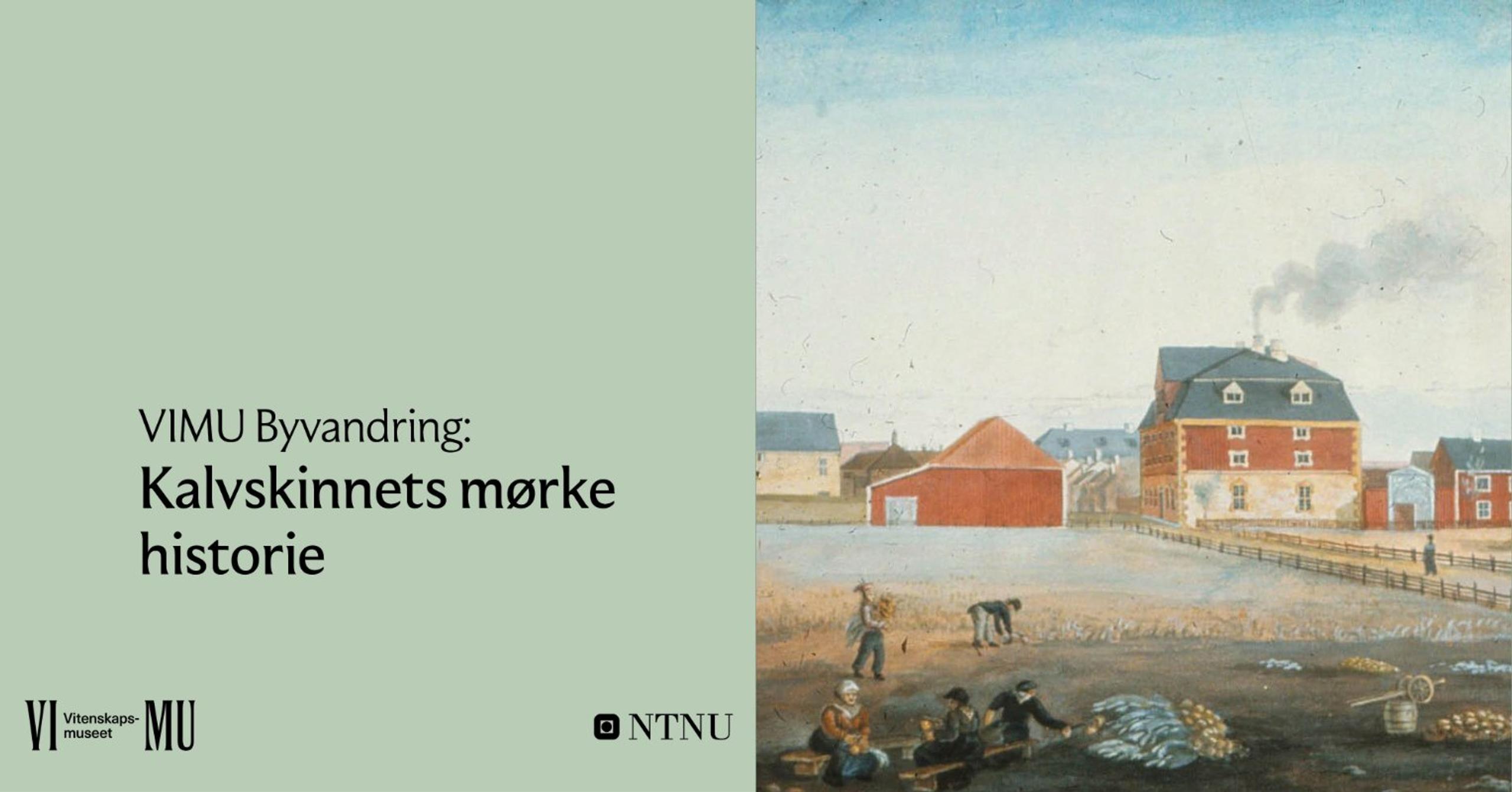 VIMU Byvandring: Kalvskinnets mørke historie 