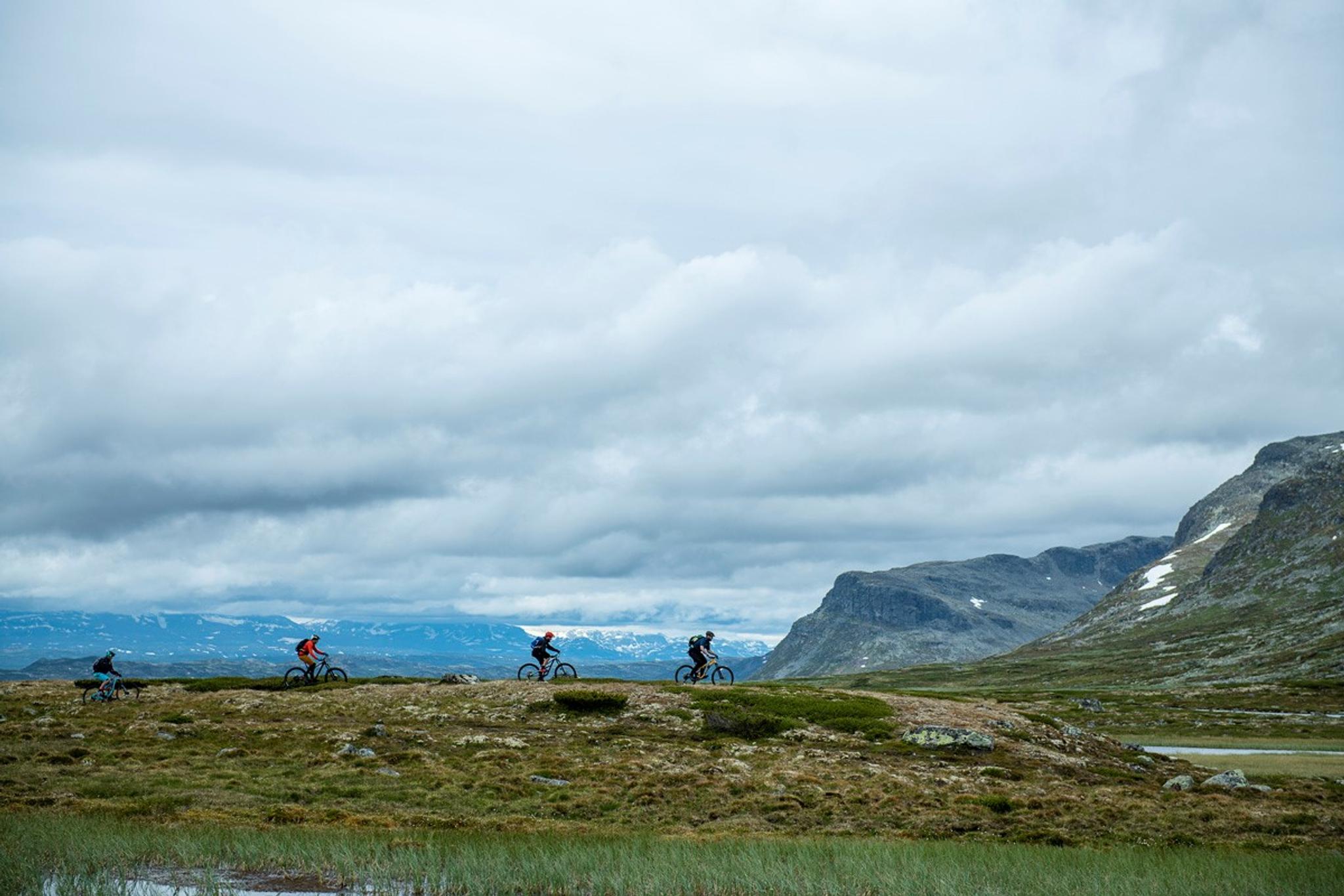 Fjellsykling