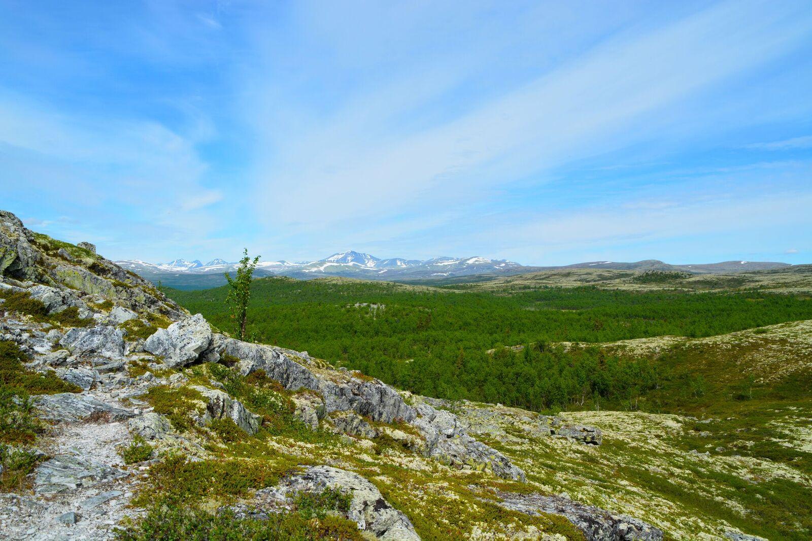 Svartfjellrunden