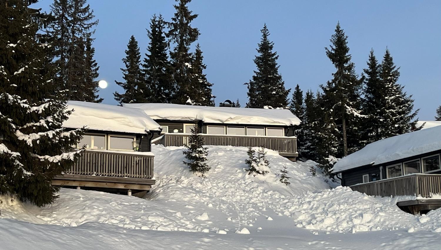 Hytte HCX62 winter daytime