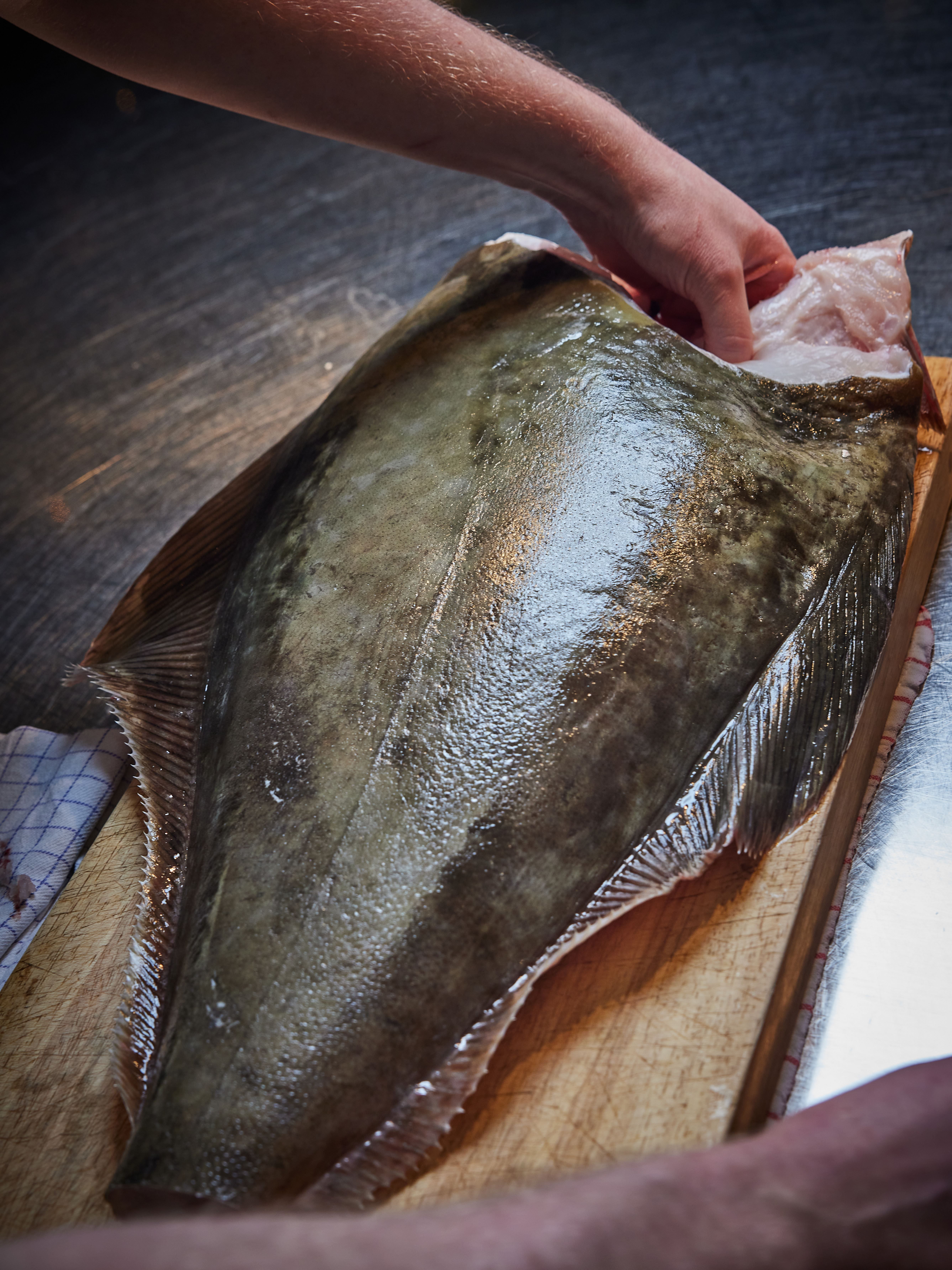 prior to filleting of fish