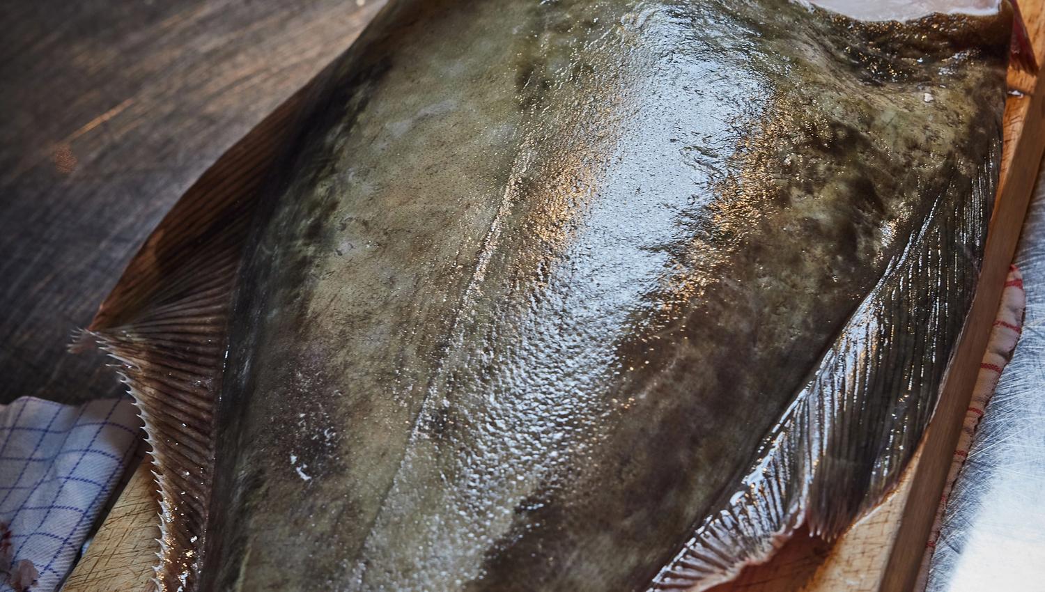 prior to filleting of fish