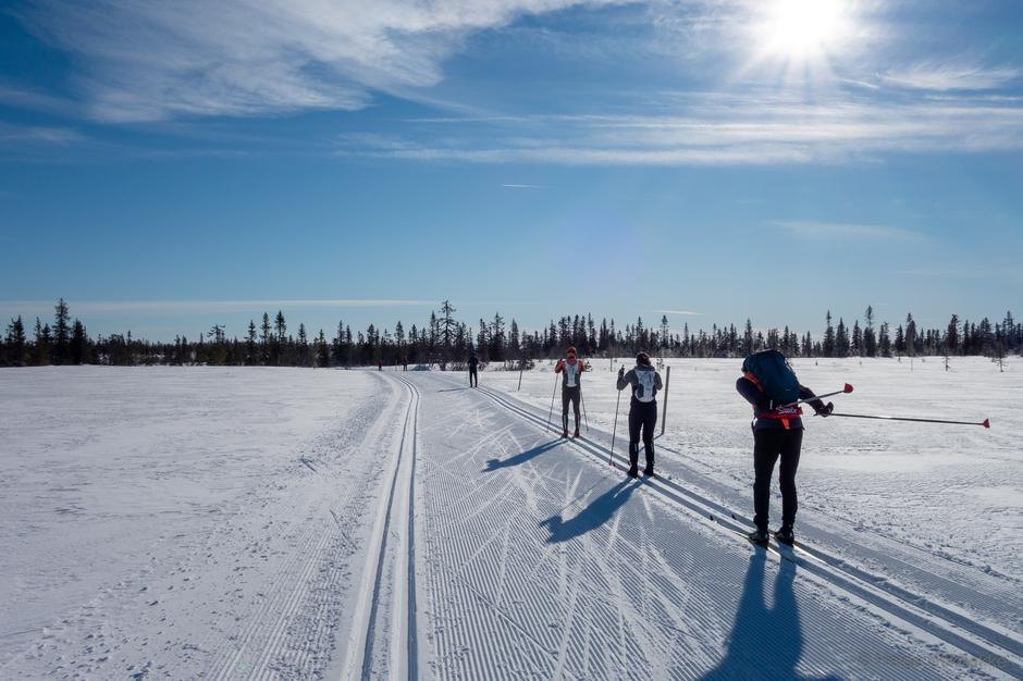 Skiløpere beveger seg gjennom solfylt vinterterreng med lange skispor foran seg.