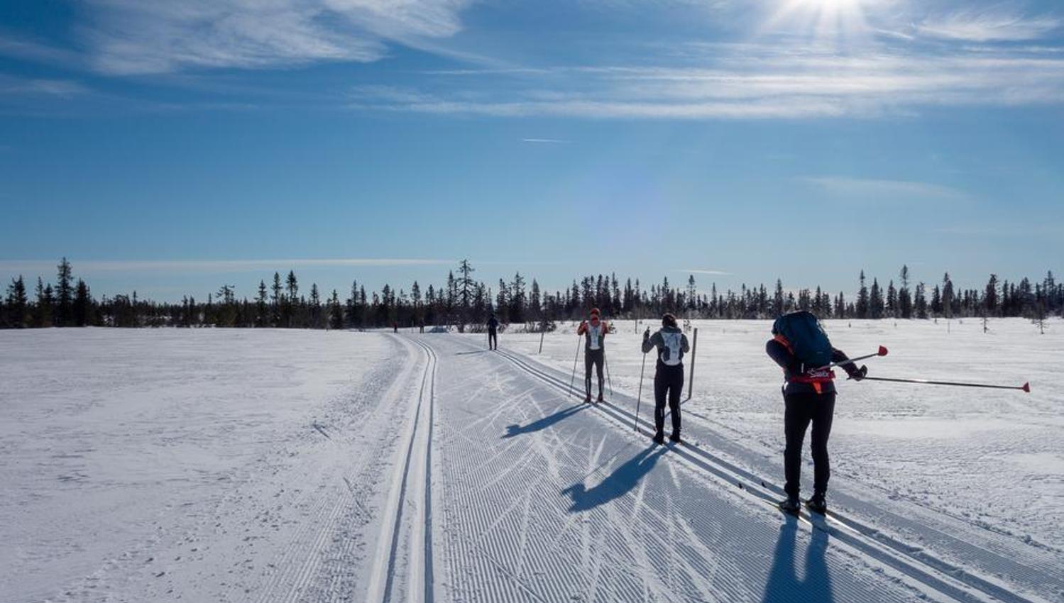 Skiløpere beveger seg gjennom solfylt vinterterreng med lange skispor foran seg.