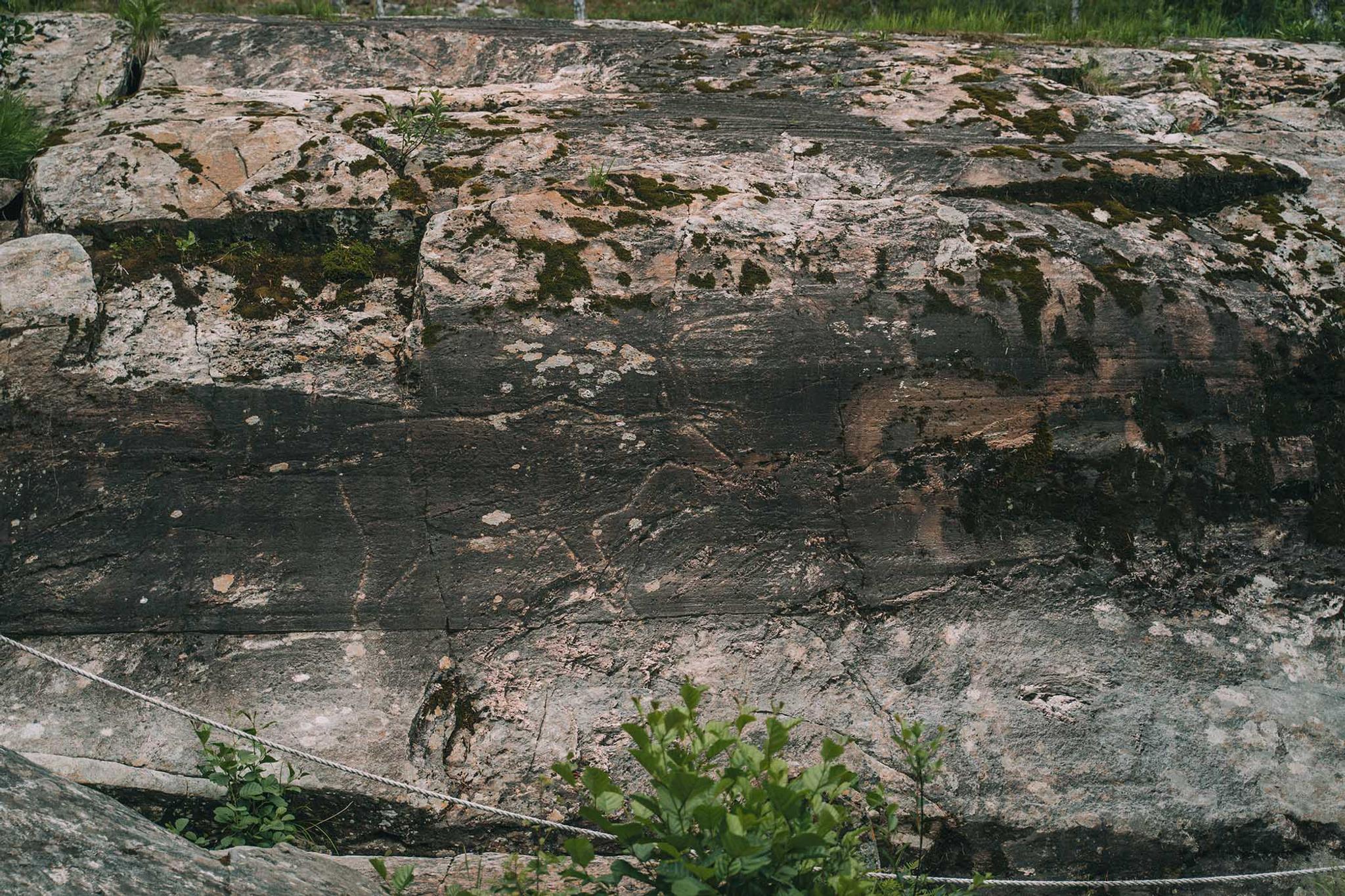 Bølareinen rock carvings
