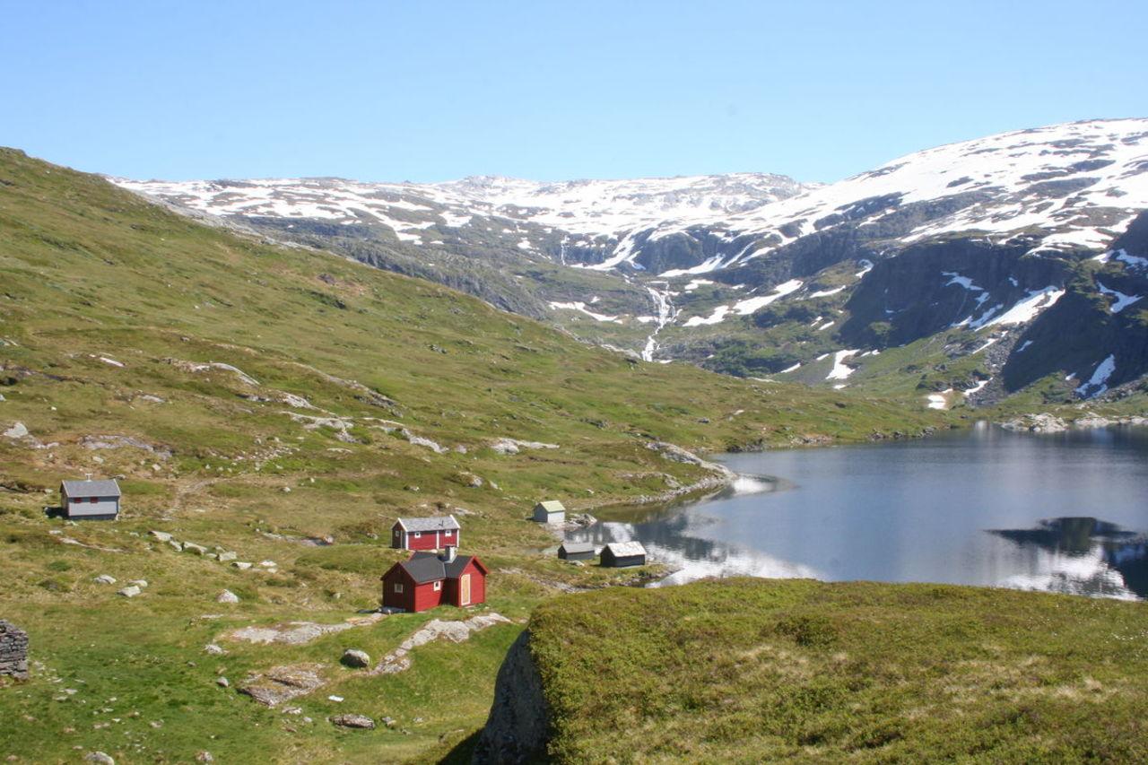 Tostøl, Sveinung Selsvik