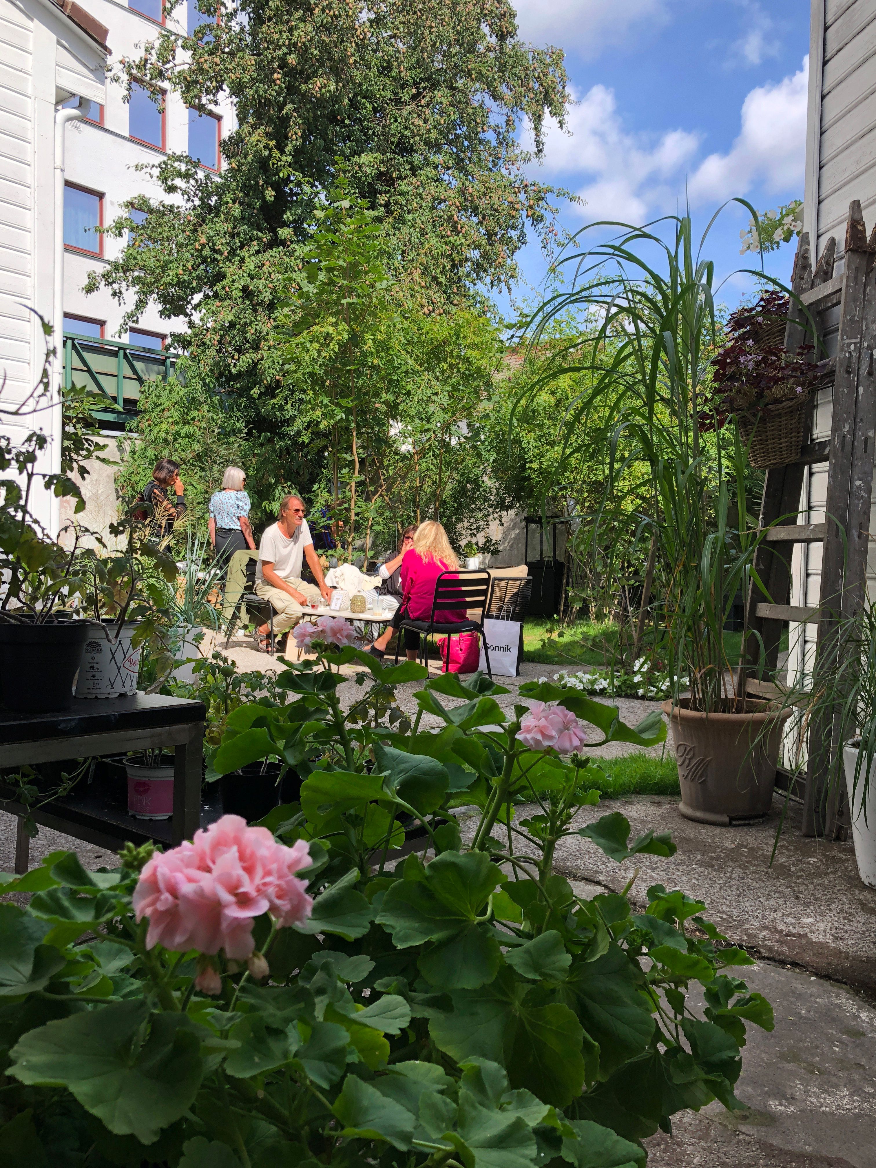 Hopeful-Garden-Kristiansand-gjester
