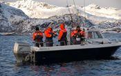 Fishing trip in Svolvær - No Problem Sportfishing