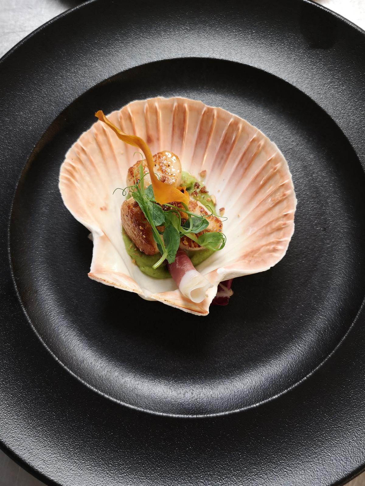 Scallops