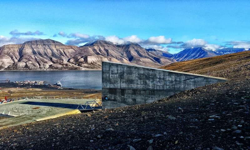 Picture taken from the backside of the seedvault on a sunny summerday. 
The seedvault and the Adventfjord is seen in the background. 