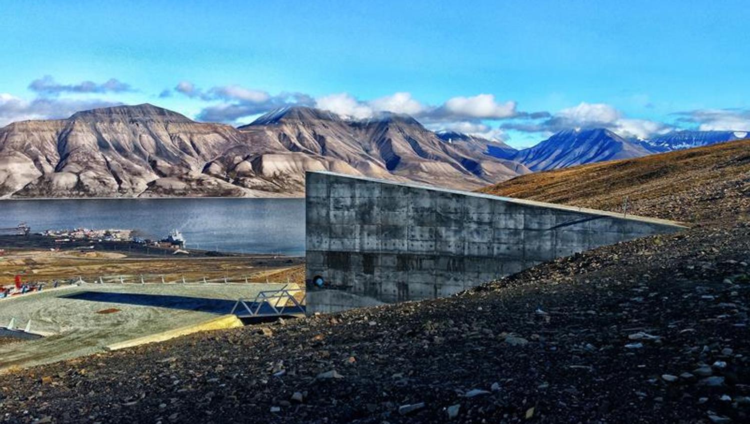 Picture taken from the backside of the seedvault on a sunny summerday.
The seedvault and the Adventfjord is seen in the background.