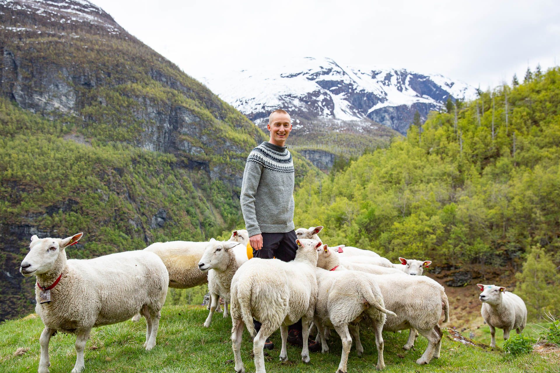 Avdalen Gard, Årdal