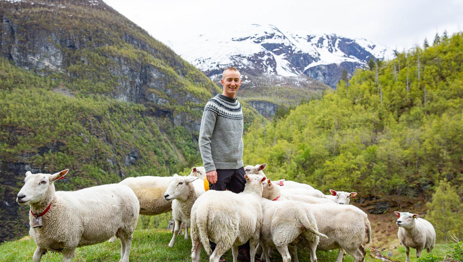 Avdalen Gard, Årdal