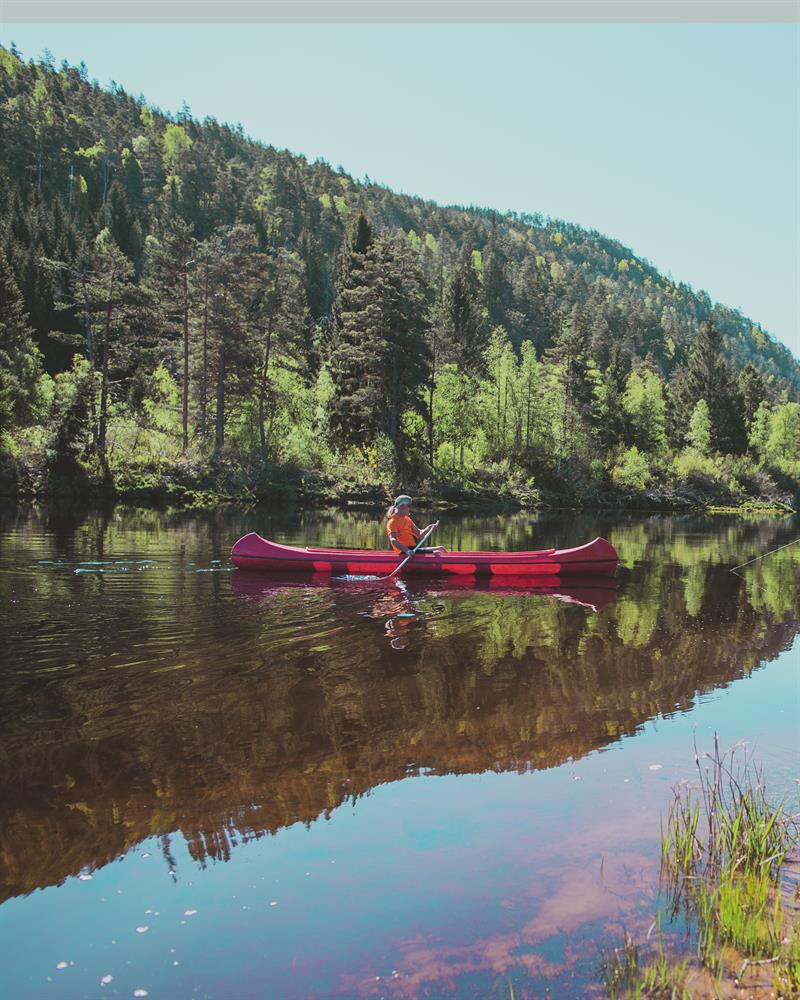 A man paddling a canoe on the calm river, surrounded by forest and beautiful nature.