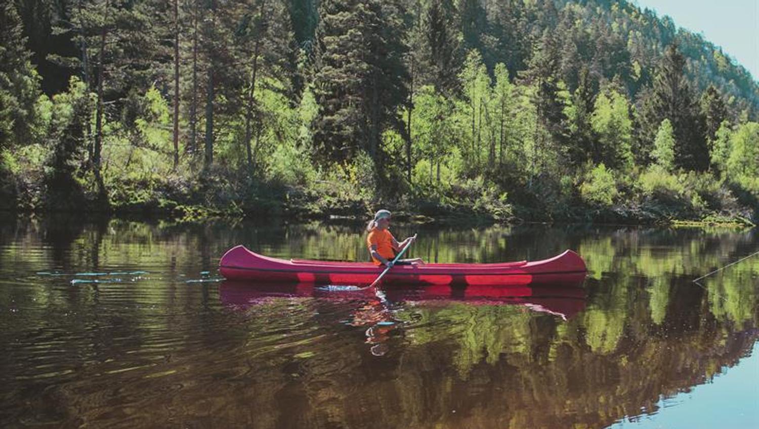 A man paddling a canoe on the calm river, surrounded by forest and beautiful nature.