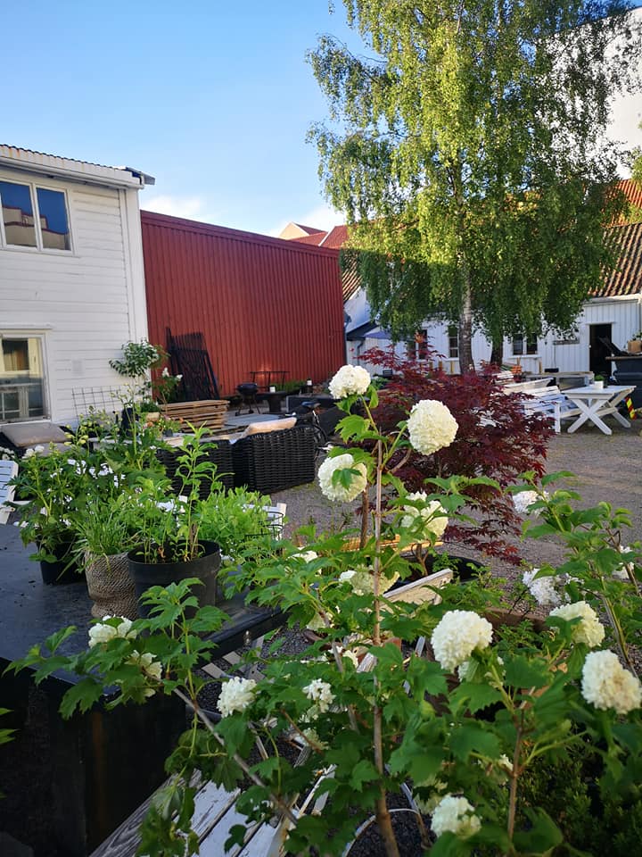 Posebyhaven
