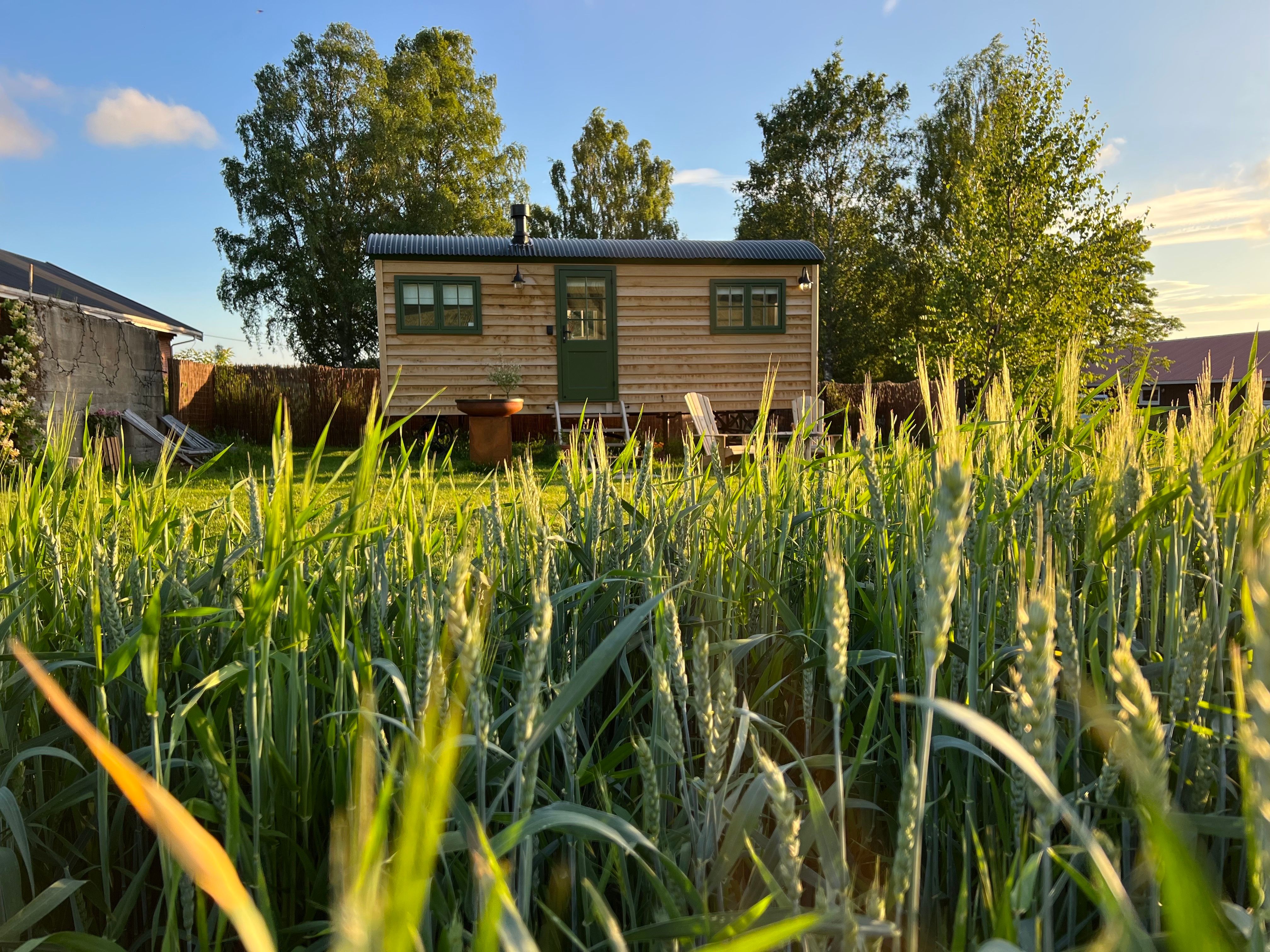 Shepherd´s Hut with fields in front 