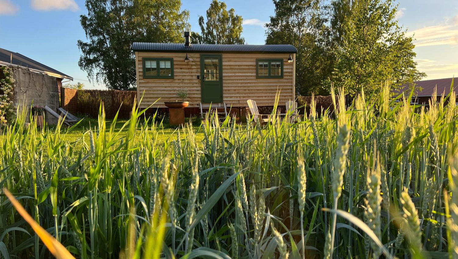 Shepherd´s Hut with fields in front
