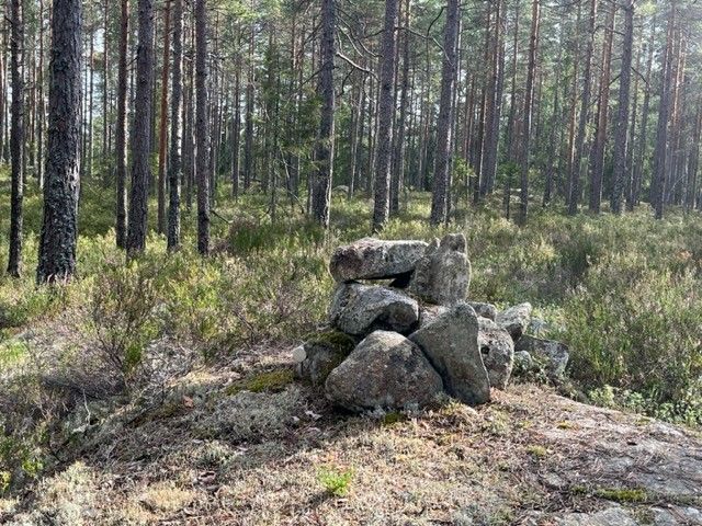 vardesteiner