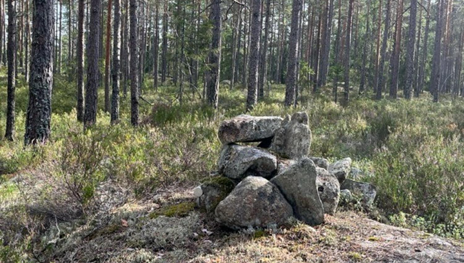 vardesteiner