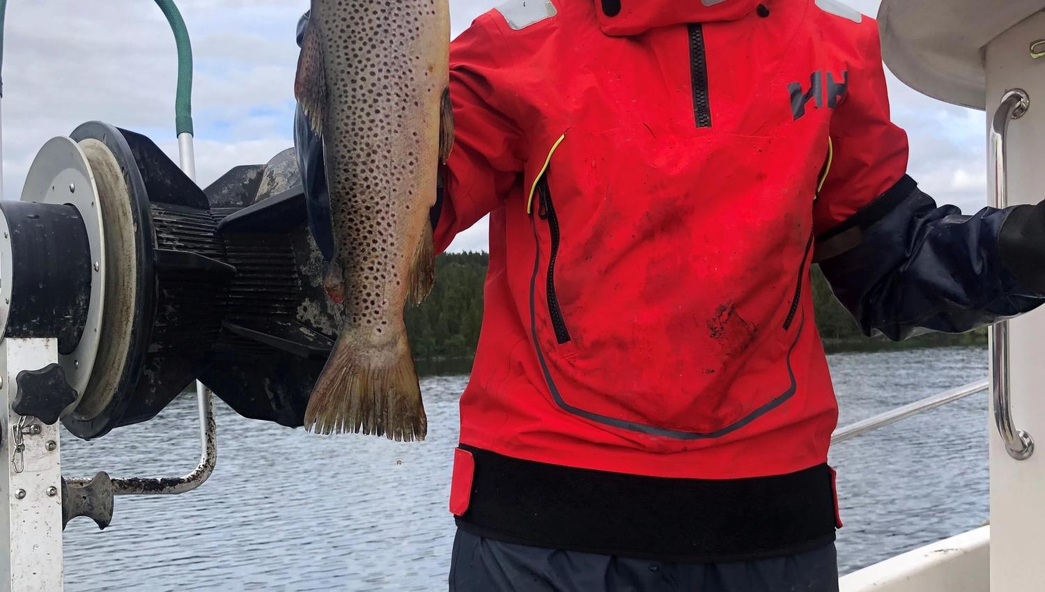 Solveig og storfisken, Gålå Høyfjellshotell