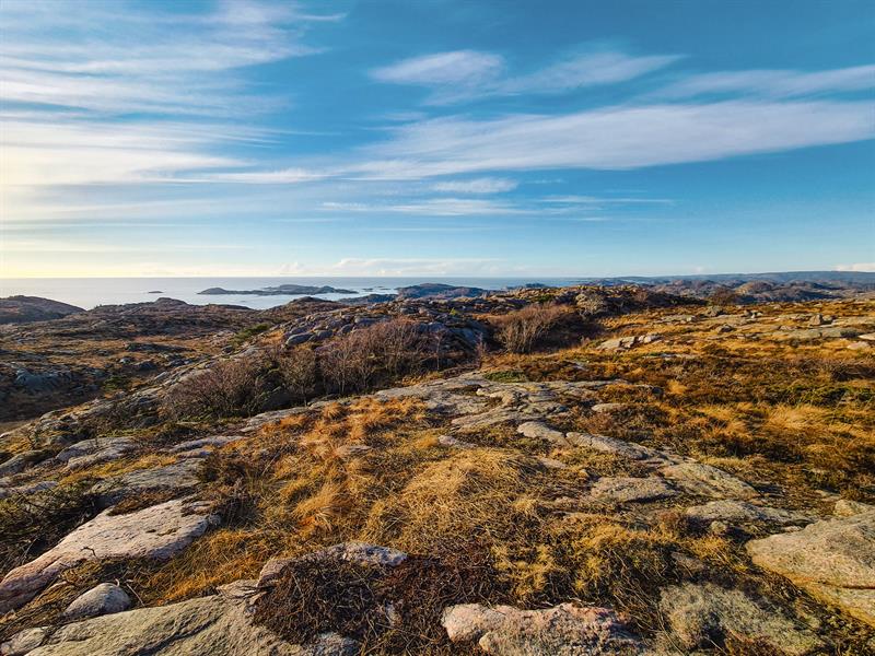 View from the mountain with autumn colors in the grass, looking out toward the sea.