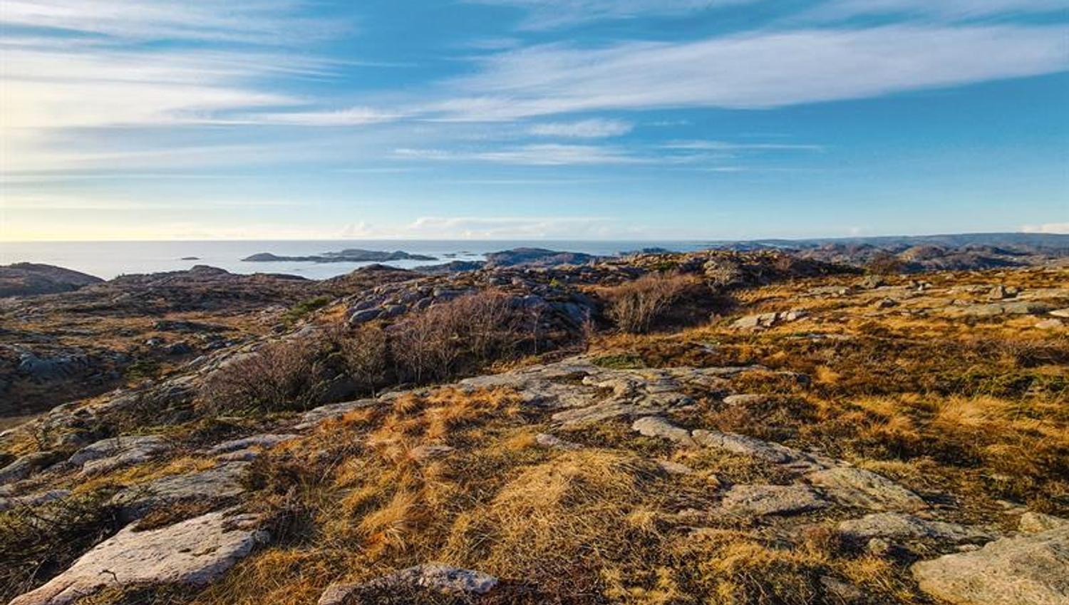 View from the mountain with autumn colors in the grass, looking out toward the sea.