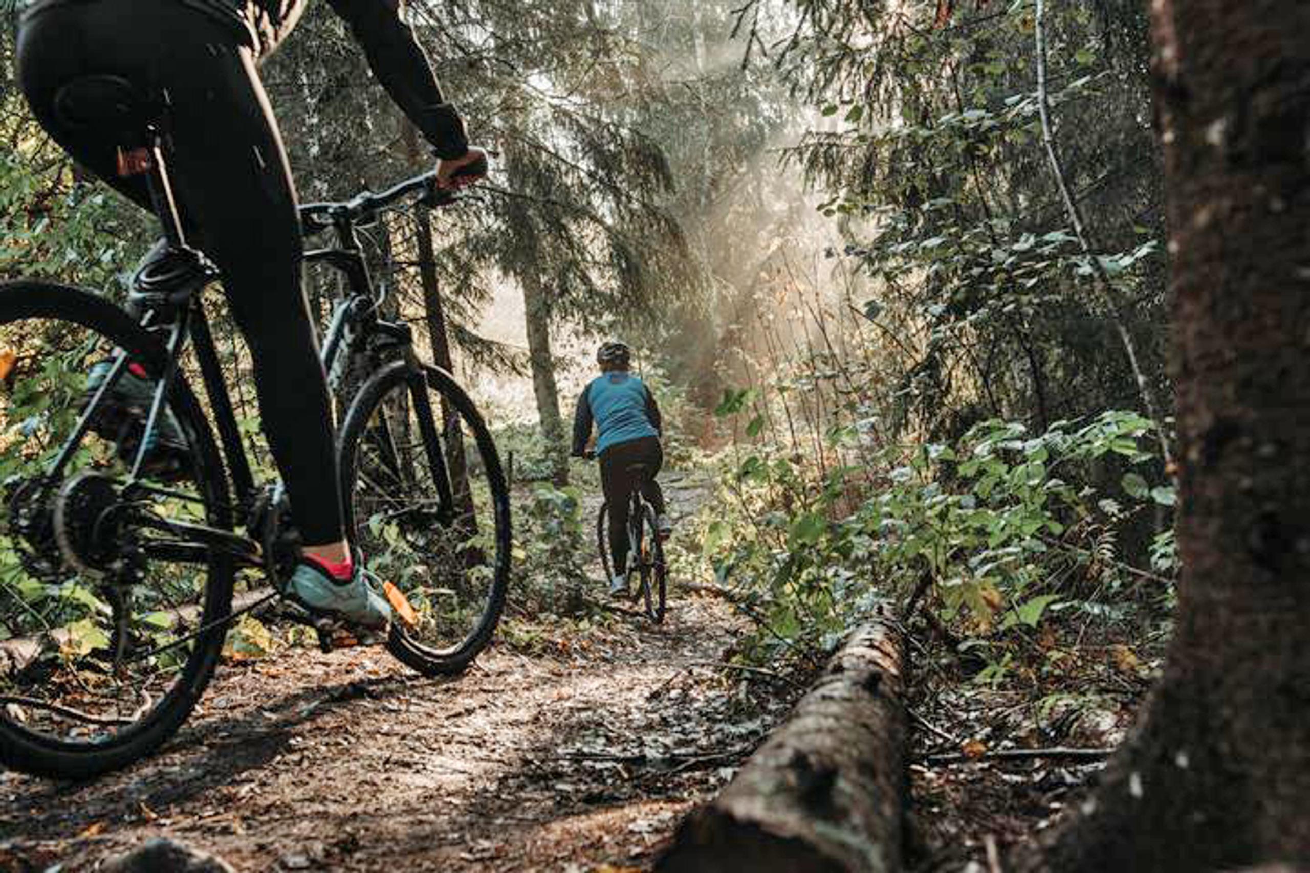 terrengsykkelsti i Skien fritidspark
