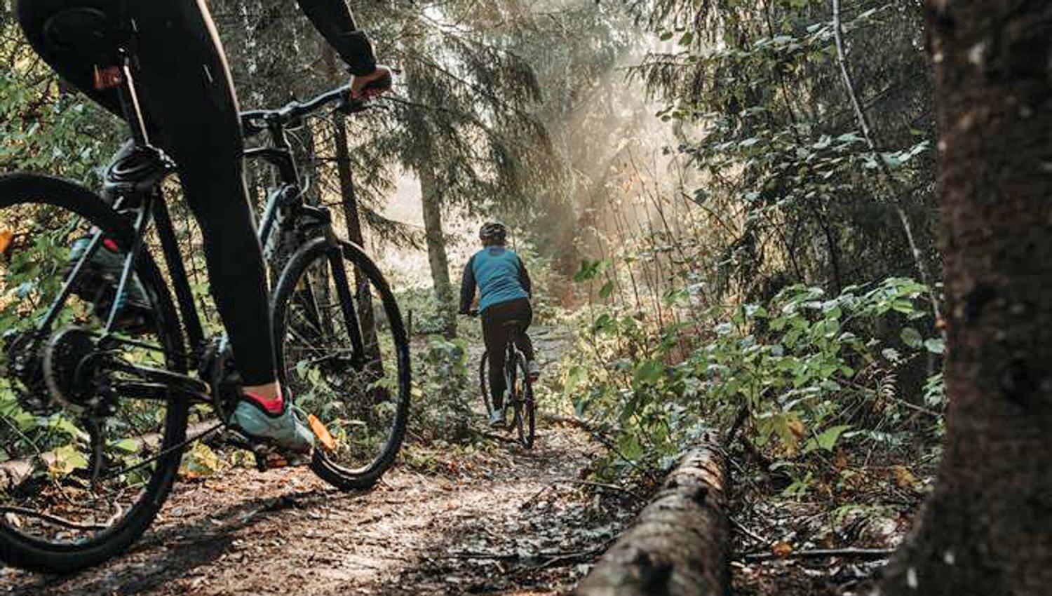 mountain bike trail in "Skien fritidspark" Skien leisure park