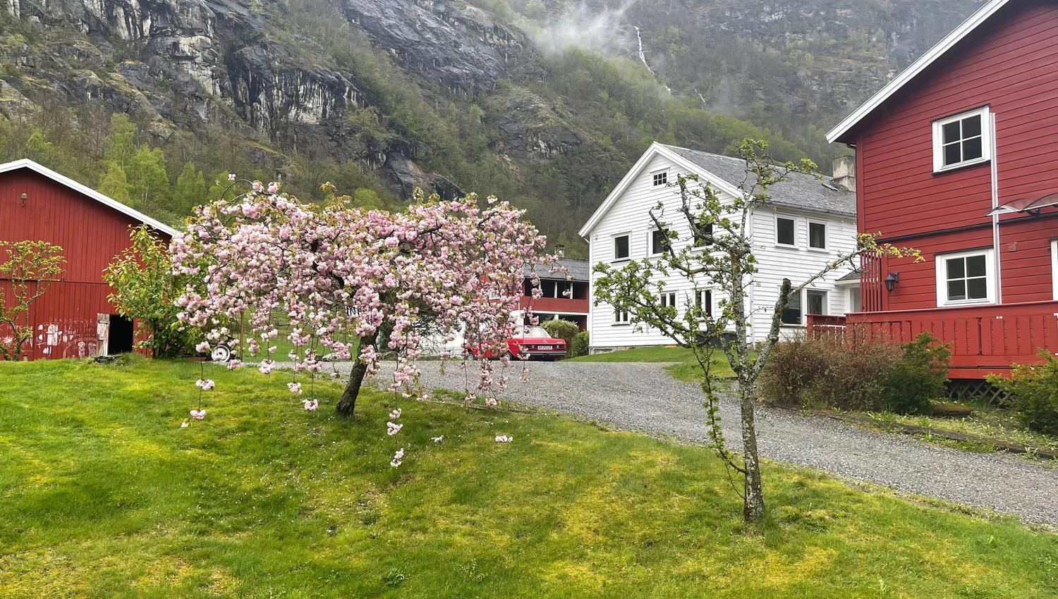 Skahjem Gard, Aurland