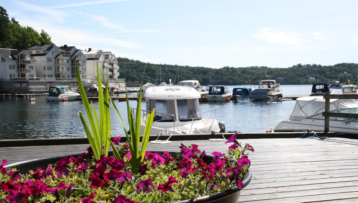 Tvedestrand gjestehavn med blomster