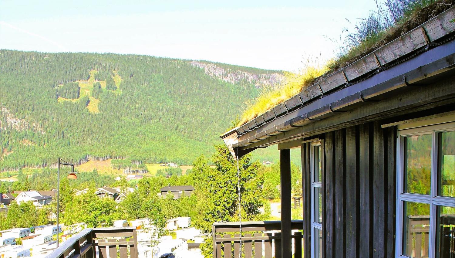 Terrace Nordlia 17