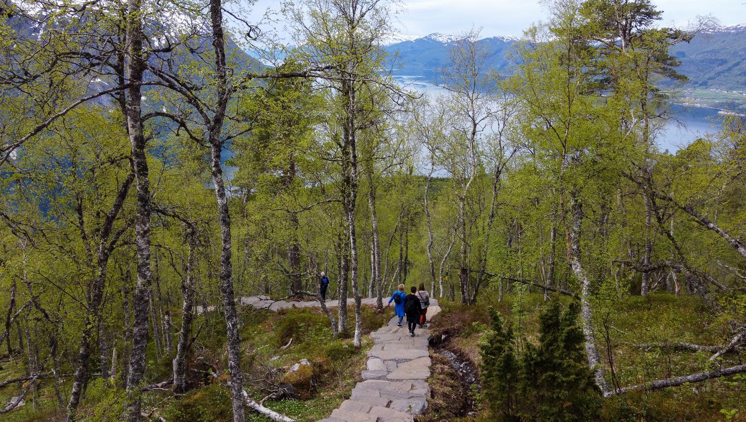 The sherpa stairs wind through the forest and you can enjoy the smell of trees.