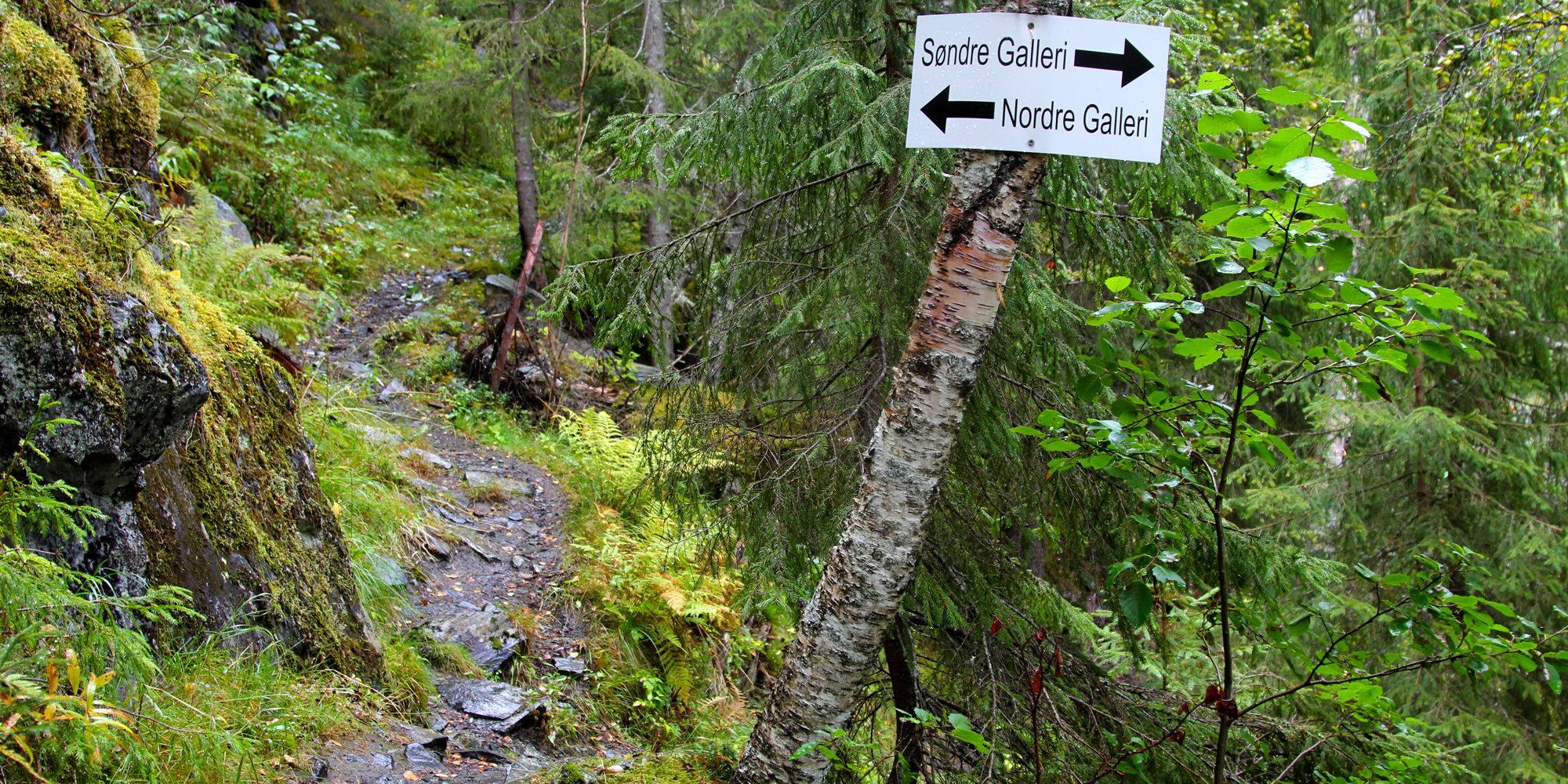 the trail forks - southern and northern gallery