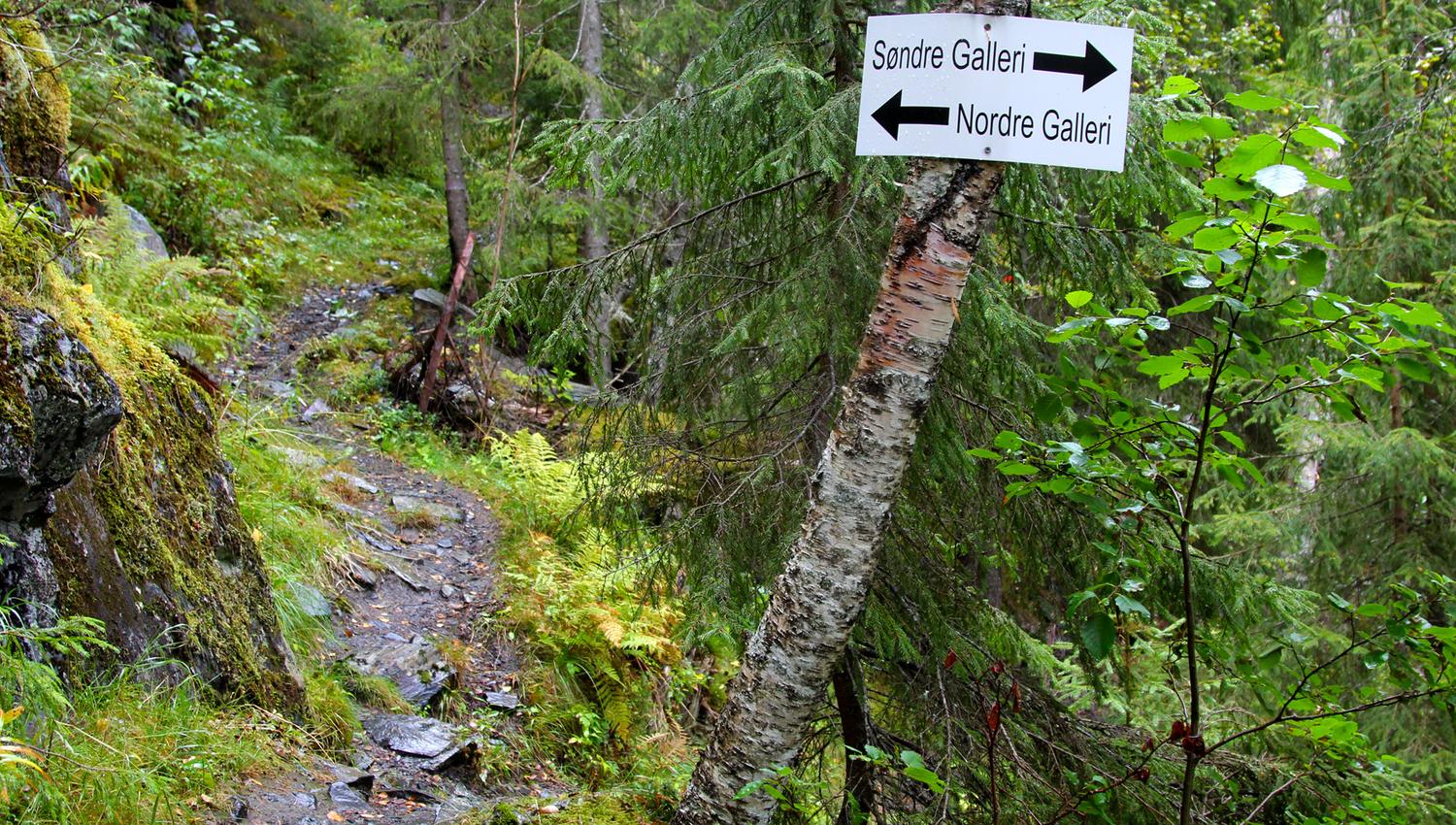 the trail forks - southern and northern gallery