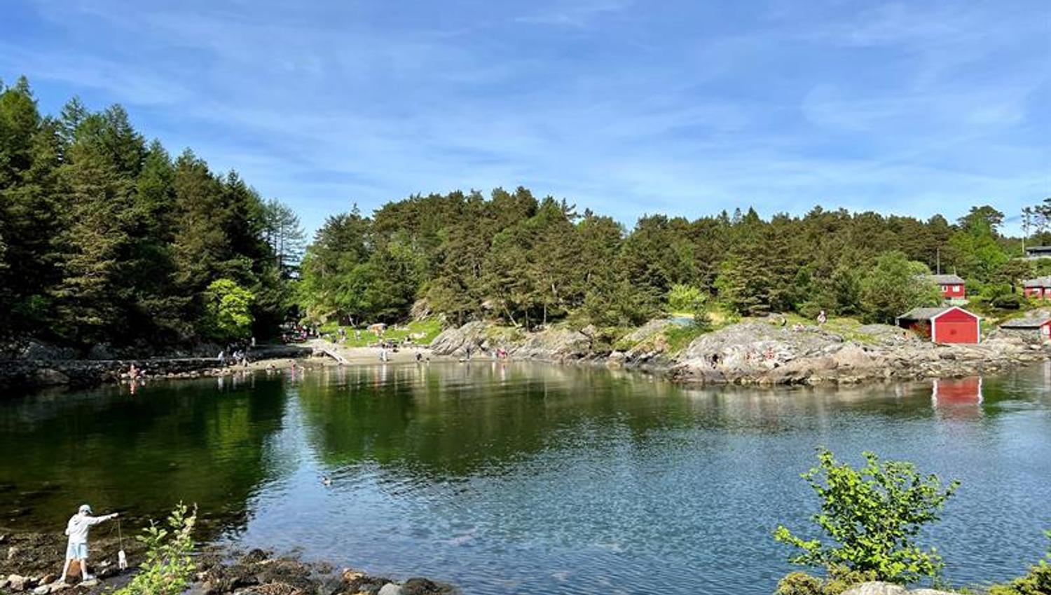 The arboretum and Bergen botanical garden