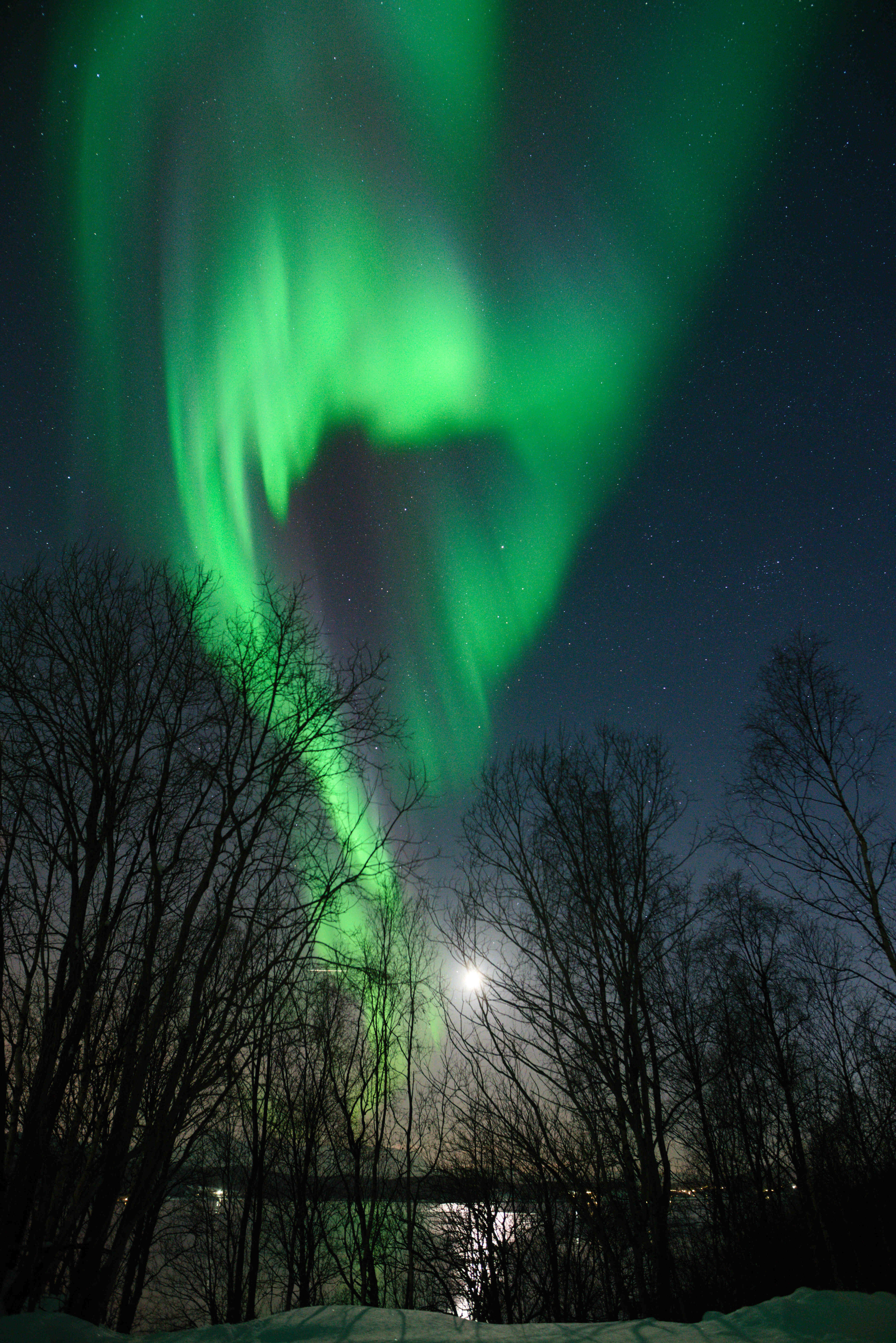 nordlys på himmelen