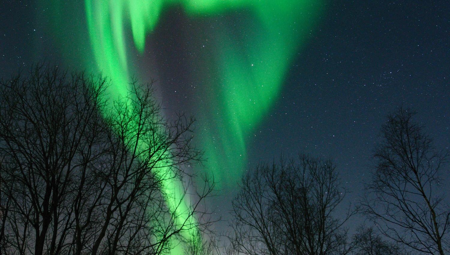 nordlys på himmelen